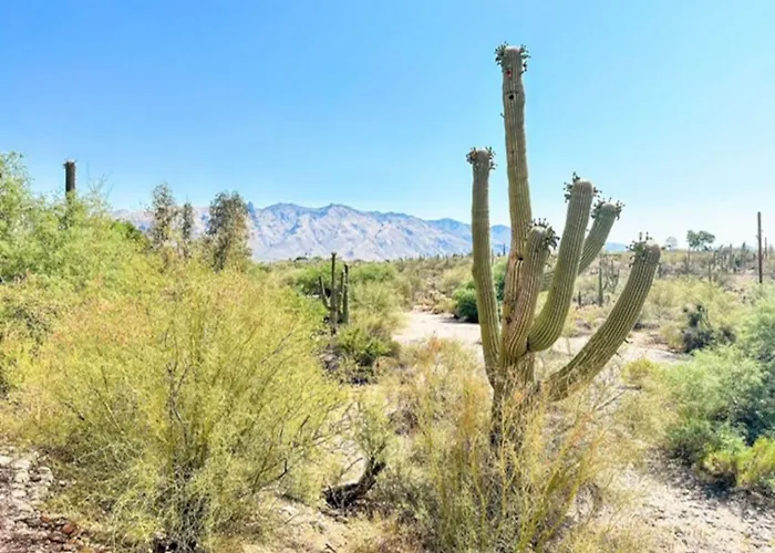 Catalina Foothills And Mountain Views, 3 Bedroom 2 Ba, Garage * Tucson